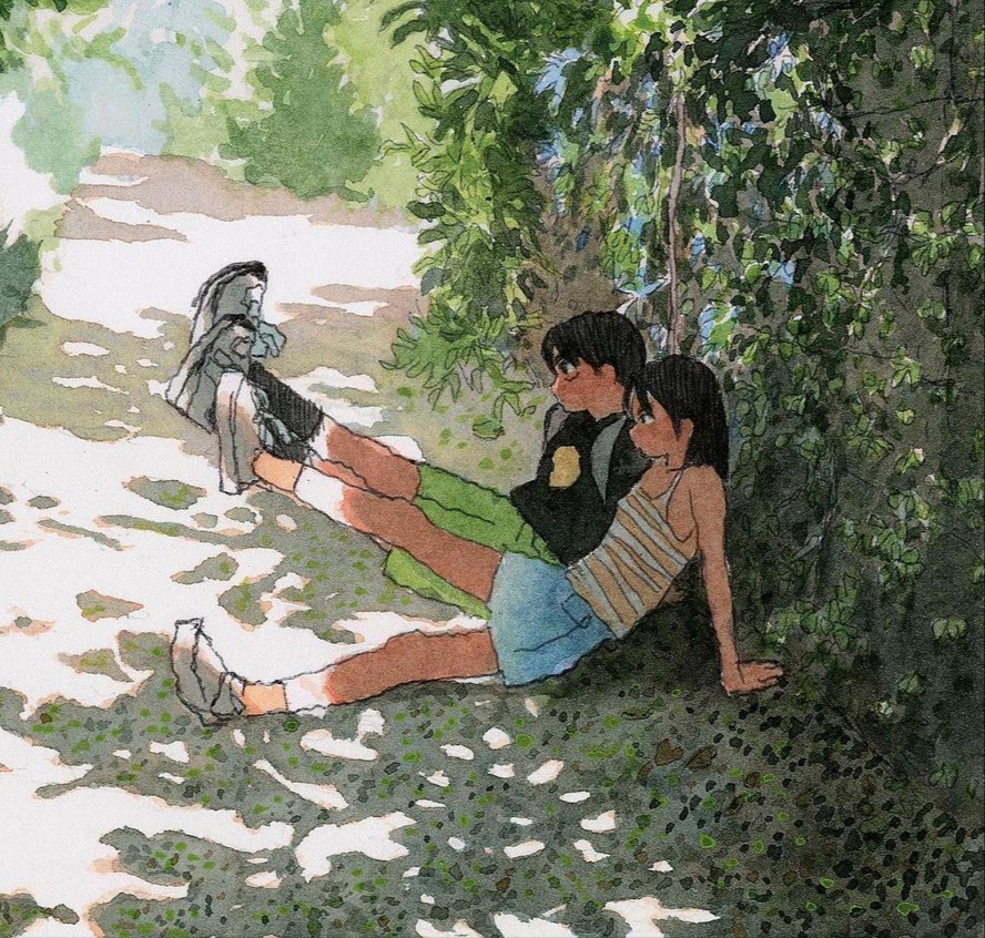 苏木